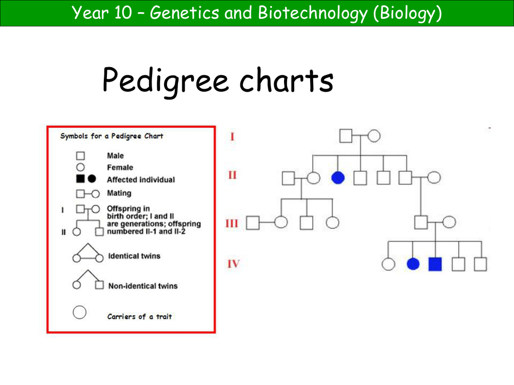 Pedigree Chart For Freckles