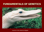 Genetics is the field of biology devoted to understanding how