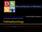 Week_1 - Denver School of Nursing