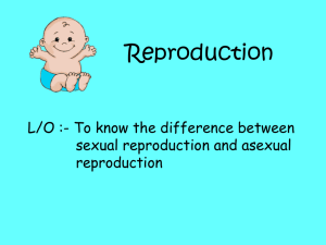 Sexual Reproduction