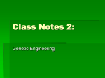 Class Notes 2: Genetic Engineering