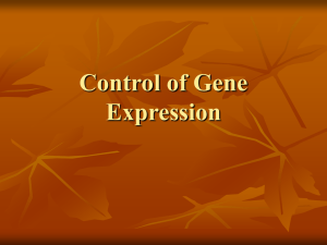 Control of Gene Expression