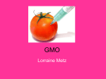 GMO - copyeditingpdfs