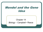 Mendel and the Gene Idea - Cherokee County Schools