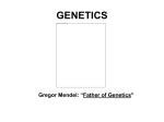 genetics