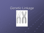 Gene linkage ppt