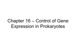 Chapter 16 – Control of Gene Expression in