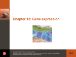 Gene expression - McGraw Hill Higher Education