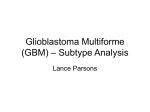 Glioblastoma Multiforme (GBM) – Subtype Analysis
