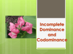 Incomplete Dominance/Codominance