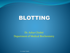 BLOTTING.142