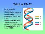 What is DNA?