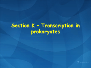 Section D - Prokaryotic and Eukaryotic Chromosome Structure