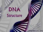 Les 1-DNA Structure-review
