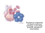 Biochemical composition of blood in norm and pathology acute