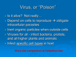 virus_lecture_web_version