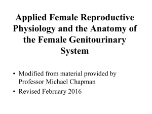 Applied Female Reproductive Physiology and the anatomy of the