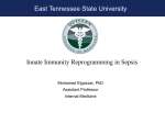 Click to add title - East Tennessee State University