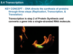 8.4 Transcription