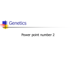 Genetics