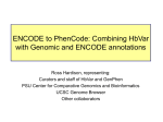 HbVar_PhenCode - Center for Comparative Genomics and