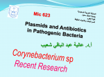 Lecture-Mic 623-Plasmids-Corynebacterium - Home