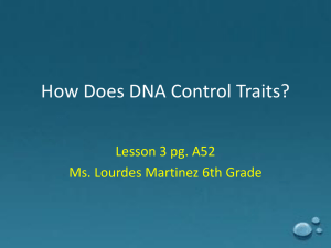 How Does DNA Control Traits? - 6thgrade