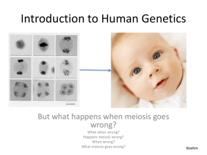 Introduction to Human Genetics