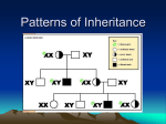 Patterns of Inheritance