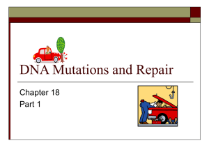 Gene Mutation (ch. 18