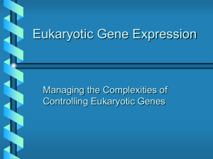 Recombinant DNA Technology