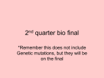 2-centrioles & fibers disappear