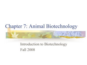 Chapter 7: Animal Biotechnology