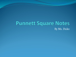 Punnett Squares