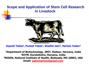Scope and Application of Stem Cell Research in Livestock