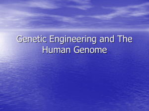 Genetic Engineering and The Human Genome