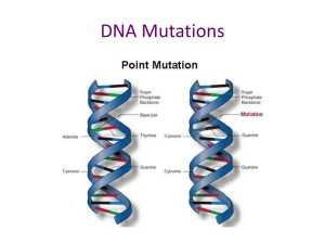 DNA Mutations - Cloudfront.net