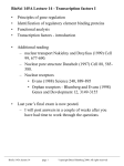 Transcription factors