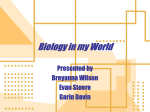 Biology in my World