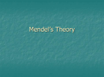 Mendel`s Theory