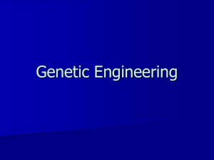 Genetic Engineering - ABC-MissAngelochsBiologyClass