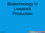Biotechnology in Livestock Production