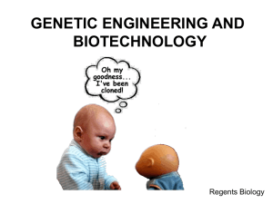 Genetic Engineering PowerPoint