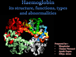 Haemoglobin (Roll no. 22