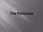 11- pancreas pathology Lect.(1)