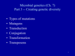 Microbial genetics (Ch. 7) Part 3