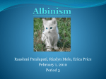 A aa - Albinizms