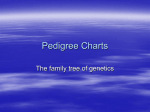 Pedigrees