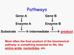 041210_pathways
