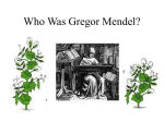 Who_Is_Gergor_Mendel - Etiwanda E